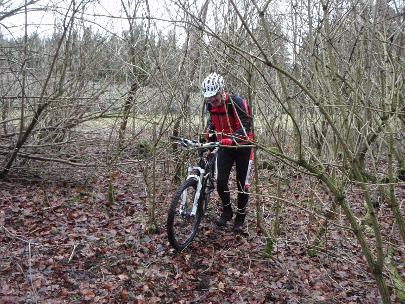 Waldtour 026